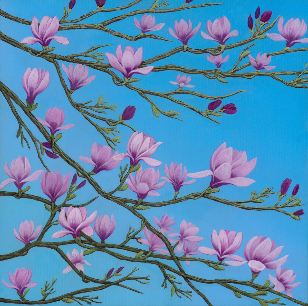 3 Dimensional textured fuchsia Magnolias painted with a sky blue background.
